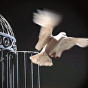 Gazali'nin uyardığı nefsin iki hastalığı