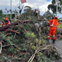 Australie: un mort, 285.000 foyers privés d'électricité en raison de tempêtes