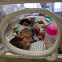 BM: Refah'taki BAE Doğum Hastanesi'nde yeni doğan bebeklerin çoğu yetim kaldı