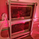 Prix mondial de l'innovation pour les "abeilles robotisées" de l’Université technique du Moyen-Orient l'ODTÜ