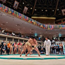 Japon: nouvelle affaire de violence dans le sumo