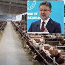 Hayvancılıkta dört yıllık yol haritası açıklandı: Bölgesel bazlı üretim modeli oluşturuldu