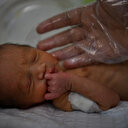 À Gaza, plusieurs nourrissons prématurés partagent une couveuse