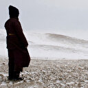 Mongolie: L'hiver extrême décime les cheptels des nomades