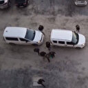 Yedi ilde Kafes-35 operasyonu: 33'ü kırmızı bültenle aranan 34 DEAŞ üyesi yakalandı