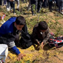 Gazze'de çocuklar uçaklardan bırakılan insani yardımları elleriyle topladı