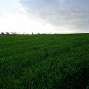 Sınırın sıfır noktasında zorlu mesai