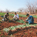 Çiftçilerin Ramazan mesaisi