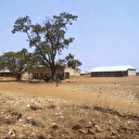 Nigeria : Enlèvement de 87 personnes dans le nord-ouest de l'État de Kaduna