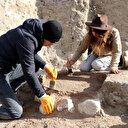Amasya'daki Oluz Höyük kazılarında Pers ve Medlere ait bıçaklar bulundu