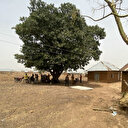 Dans un village au Nigeria, un rescapé chanceux d'un kidnapping de masse