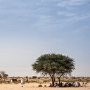 Tchad: 42 morts dans de nouveaux combats entre deux communautés dans l'est