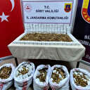 Cephanelik gibi otomobil! 15 bin mermi ele geçirildi: Beş kişi tutuklandı