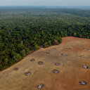 Déforestation : L'UE s'engage à verdir ses importations