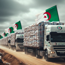 L'Algérie prévoit l'envoi de 150 tonnes d'aide humanitaire destinée à la Bande de Gaza assiégée