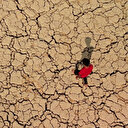 Irak: L'irrigation moderne pour sauver l'agriculture