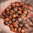 TÜİK son verileri açıkladı: 2022-2023 döneminde yeterlilik derecesi en yüksek bitkisel ürün fındık