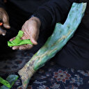 Les Palestiniens luttent pour trouver de la nourriture et se réfugie dans une école de l'UNRWA