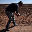 Records de chaleur en plein hiver au Maroc