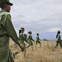 Au Kenya, des femmes rangers luttent contre les braconniers et les préjugés