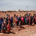 Afrique australe: La famine menace 20 millions de personnes