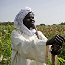 Tchad: 23 morts dans de nouveaux combats entre éleveurs et cultivateurs