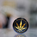 Le cannabis récréatif devient légal en Allemagne malgré les critiques