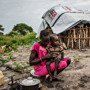 Soudan: la production de céréales chute de plus de 40 %