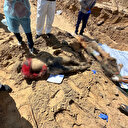 Horreur à Gaza: Découverte d'une fosse commune à l'Hôpital Al-Shifa