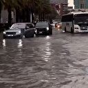 Sel felaketinin vurduğu Dubai sokaklarında balıklar yüzüyor