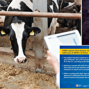 Dünyayı etkileyecek küresel bir salgına dönüşebilir: ABD'de bir kişi ineklerden kuş gribi kaptı