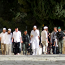 Pâque juive: Des colons prennent d'assaut la mosquée Al-Aqsa