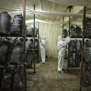 Devlet destek verdi: Kadınlar üretti! Türkiye'nin her yerine gönderiyorlar