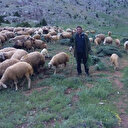 Mesaide müdür tatilde çoban