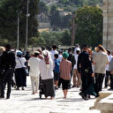 Jérusalem: 700 colons israéliens prennent d'assaut Al-Aqsa au troisième jour de la Pâque juive