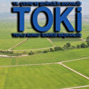 TOKİ 33 ilde uygun fiyata arsa satışı yapıyor! Başvuru şartları ile peşinat ve vade detayları belli oldu