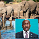 Botsvana'dan Almanya'ya tehdit: Şaka yapmıyorum 20 bin fil gönderirim