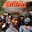 La fraise, "or rouge" inattendu des producteurs au Burkina Faso