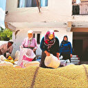 TMO'dan hububata pozitif fiyat