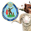 Mehmetçik Vakfı kurbanlık bağış fiyatları 2024