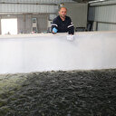 2700 rakımda kaynak buldular: Yılda 5 milyon alabalık yavrusu üretiyorlar