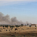 Syrie: Le régime incendie les maisons et les terres agricoles à Tadif