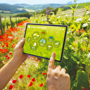 Kırsalda ‘akıllı’ tarım dönüşümü