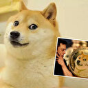Dogecoin'in simgesiydi: Sosyal medyanın sevilen yüzü fenomen köpek hayatını kaybetti