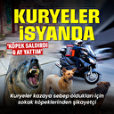 Kuryeler isyanda: Köpek saldırdı 6 ay yattım