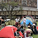 طلاب جامعة مكسيكية يقيمون مخيما للتضامن مع فلسطين