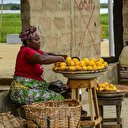 Bénin: un projet environnemental menace les populations locales