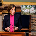 ABD'de kuş gribi krizi devam ediyor: Iowa eyaletinde afet durumu ilan edildi