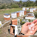 Antalya'da fırtına ve dolu tarım alanlarına ve kovanlara zarar verdi