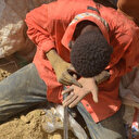 Niger: fermeture temporaire de mines d'or, après la mort de plusieurs dizaines d'animaux